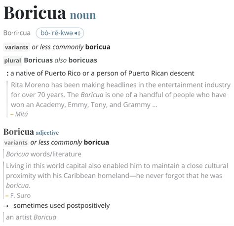 boricua meaning|BORICUA Definition & Meaning